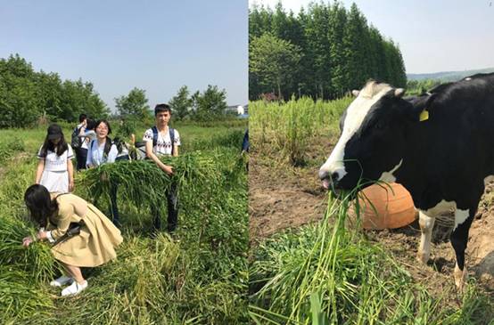 成人直播