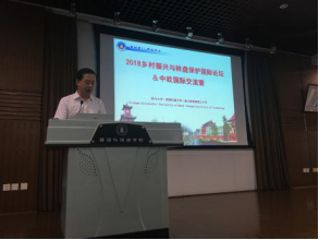 成人直播
