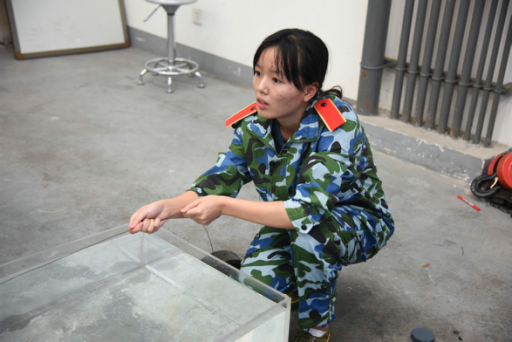 成人直播